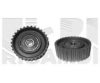 CALIBER 20063 Tensioner Pulley, timing belt